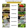 12W E27 LED Timing Plant Growth Light Bulb Indoor Greenhouse