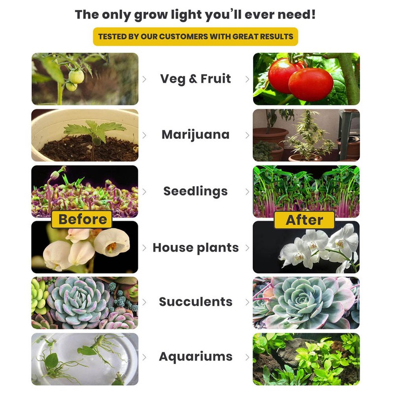 12W E27 LED Timing Plant Growth Light Bulb Indoor Greenhouse