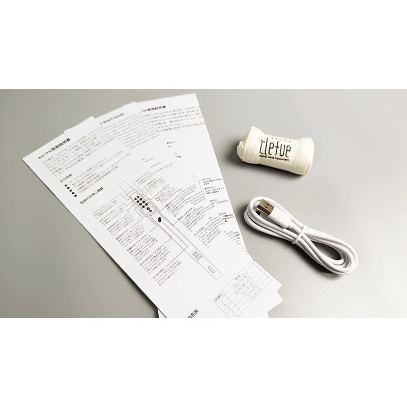 TAHORNG Elefue Black Elehue Electronic Recorder with Built-in Speaker Tahorn