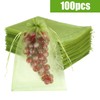 Fruit Protection Bags, Green Mesh Netting Bag, Drawstring Reusable 6X8Inch