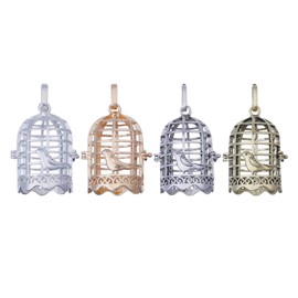 CHGCRAFT 4 Pcs 4 Colors Bird Cage Pendant Alloy Bird Cage Charms Bird Cage Pendant Charms for Jewelry Making Earring Necklace Bracele DIY Craft Supplies