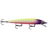 Rapala Husky Jerk 10 Moldy Fruit
