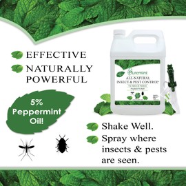 Puremint Insect & Pest Control, Powerful & Natural 5% Peppermint Oil Spray for Ants, Spiders, Bed Bugs, Dust Mites, Roaches and More - Indoor and Outdoor Use, 128 fl oz Gallon