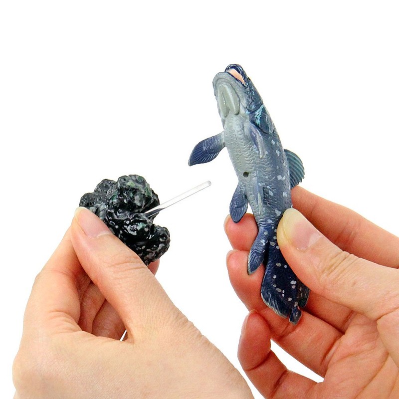 Carolata 3D Picture Book, Realistic Figure Box (Ancient Fish, 7