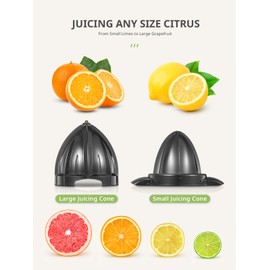 Reemix Electric Citrus Juicer - Orange, Lemon, Grapefruit Juicer with Stainless Steel Body & Transparent Juice Collector, Easy to Use for Fresh Squeezed Juice at Home​​