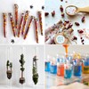 Pack of 20 Test Tubes, Test Tube with Corks, 12