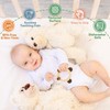 Meartchy 3 Pack Baby Teether, Bear-Shaped Silicone Teething Toys for