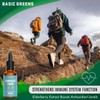 BASIC GREENS BASIC GREENS Lymphatic Support Liquid ?C Natural Immune