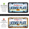 Spider Web License Plate Frames - 2 Pack Front Rear