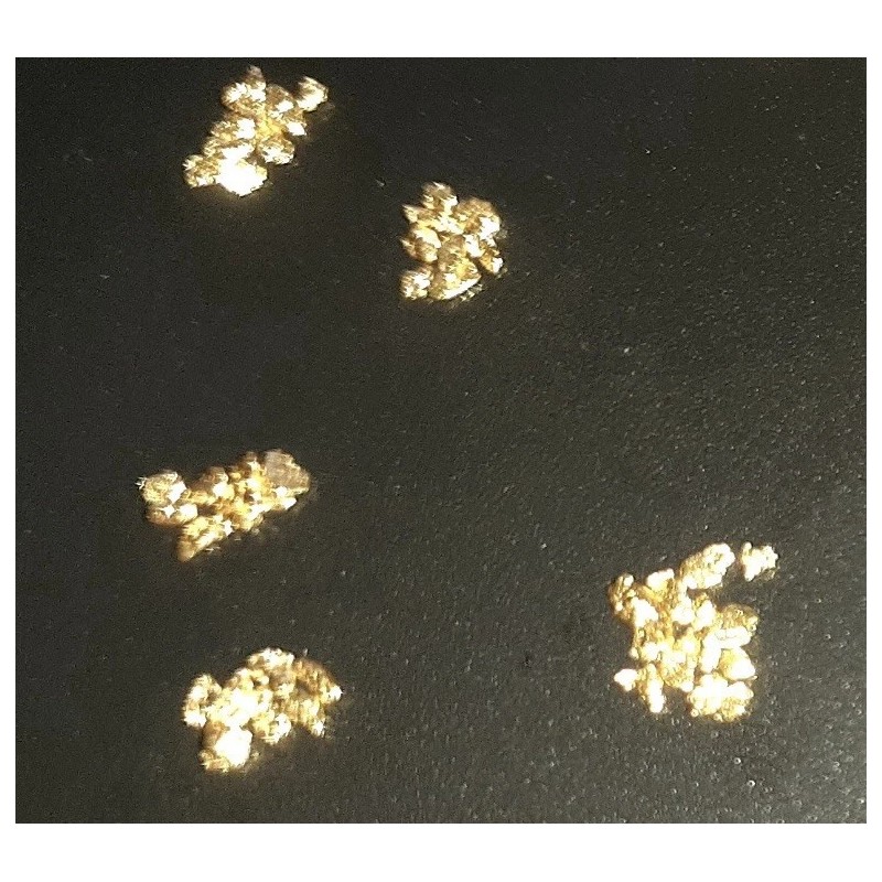 (~0.15g Added) GOLD Paydirt Guaranteed Unsearched + Added Alaskan Yukon