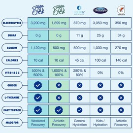 Waterboy Electrolyte Drink Mix for Adults Sugar-Free 24 Servings Variety Pack