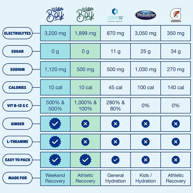 Waterboy Electrolyte Drink Mix for Adults Sugar-Free 24 Servings Variety