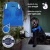 Doggie Design Dog Harness - No Choke Dog Harness, Dog