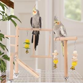 Baoblaze Parrot Playground Wood Perch Stand Exercise Activity Center Parrot Play Stand Bird Play Gym for Budgerigar Lovebird Cockatiel