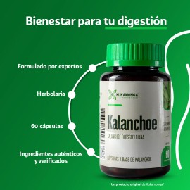 Kalanchoe - 60 Cpsulas Sin Sabor