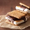 FireStix 3 Pounds of Campfire Large White Marshmallows - Made