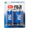 Fuji D Batteries 2-Pack