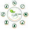 Vitaideal Vegan® Liquiritiae Radix "Spar-Pot" Licorice Root 2 x 300