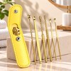 6-Piece Stainless Steel Ear Wax Removal Kit for Personal Ear