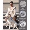 DF No Pull Step-in Martingale Dog Harness, Help Stop Pulling