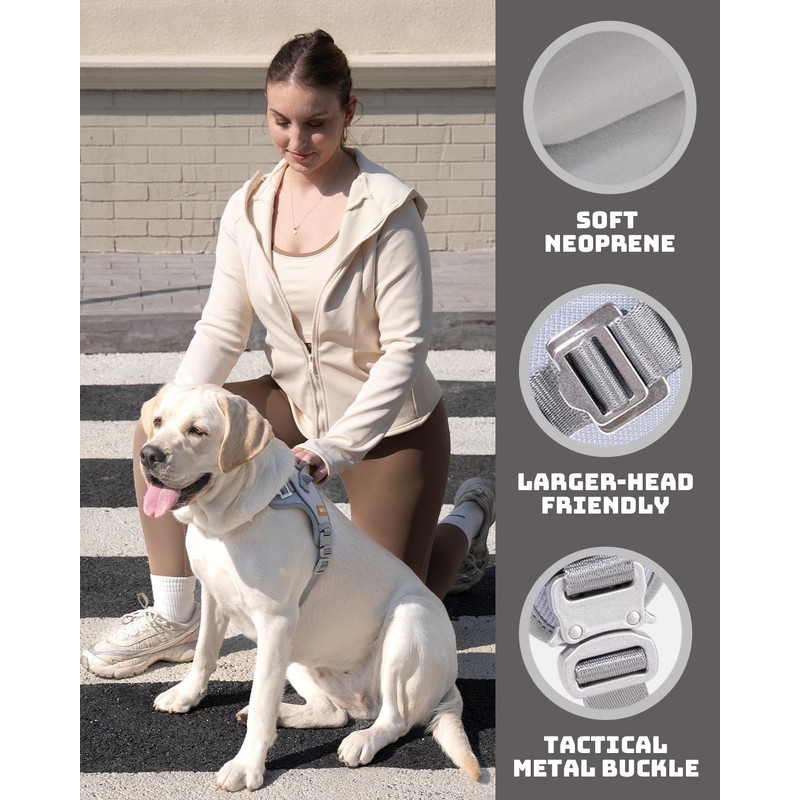 DF No Pull Step-in Martingale Dog Harness, Help Stop Pulling