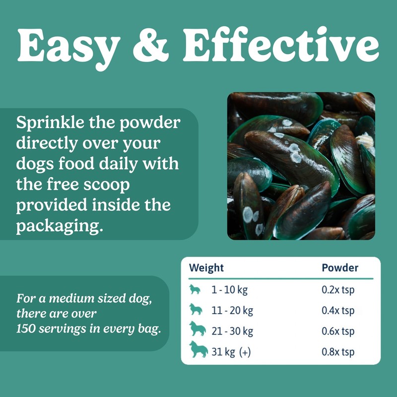 The Honest Dog Co Honest Dog Co. Green Lipped Mussel