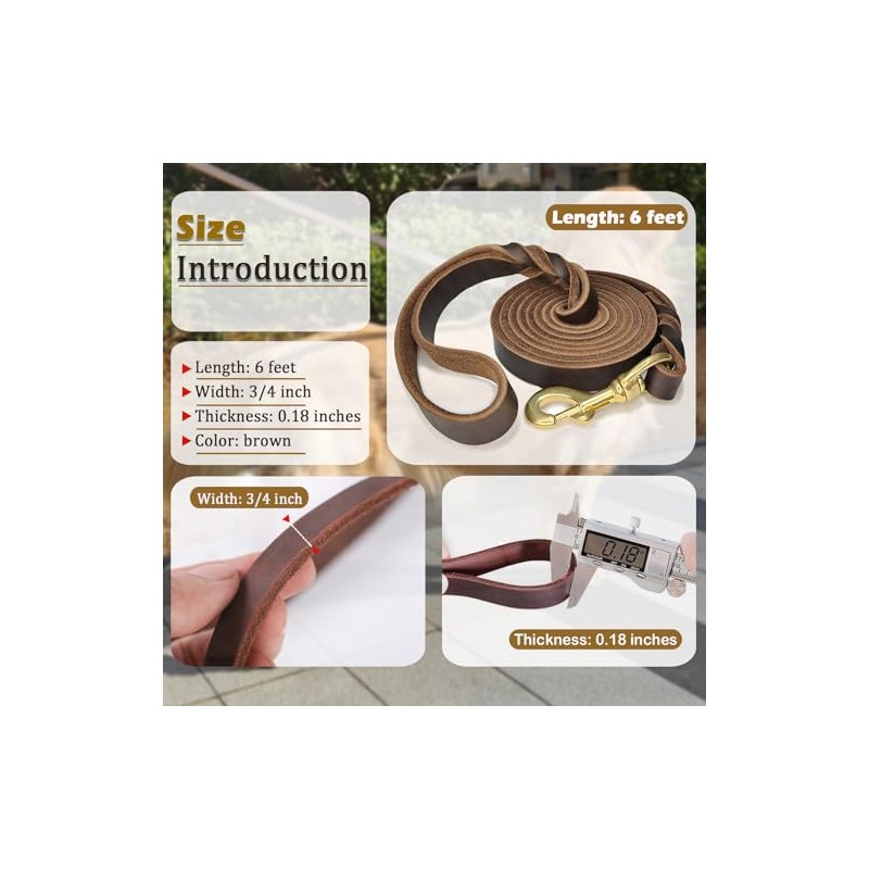 Correa de Cuero para Perros de 1,8 M X 1,9