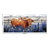 Conipit Longhorn Cattle Wall Art Bluebonnet Pictures Western Canvas Art,