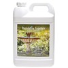 Fountain Algaecide and Clarifier - Gallon - Kills and Inhibits
