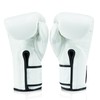 Fairtex Glory Kickboxing Gloves - Limited Edition (White/Gold - BGVG3,
