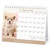 2026 Calendar Puppy (Tabletop)