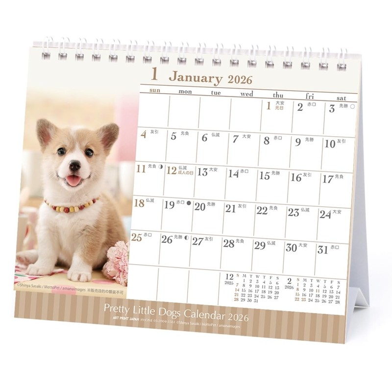 2026 Calendar Puppy (Tabletop)
