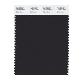 Pantone 19-3909 TCX Smart Color Swatch Card, Black Bean