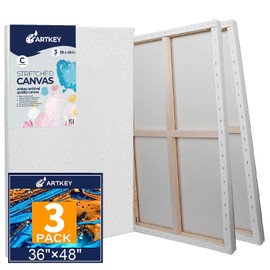 Large Canvases for Painting 36x48 Inch 3-Pack, 12.3 oz Triple Primed Acid-Free 100% Cotton Stretched Canvas, Blank Large Canvas for Oil Paint Acrylics Pouring & Wet Art Media