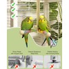 Pawfly Natural Wood Spinning Bird Standing Perch, 360 Degree Rotatable