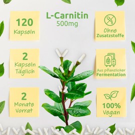 BIO Protect Premium L-Carnitine 500 mg - 120 Capsules - High Dose - No Additives - Laboratory Tested - High Dose - Vegan - Bio Protect