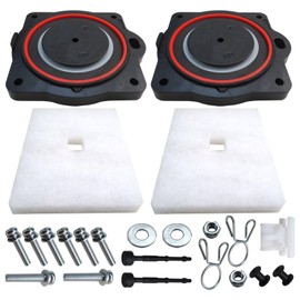 HP60/80 Air Pump Rebuild Kit Fit for Hoot Troy Air H365, H450, H500, LA500, LAR500, H600, Filter and Screws Kit by Acupress