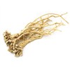 (자연초)국산 황기 4년근 통황기 200g (Korean) Domestic Astragalus 4-Year-Old Whole