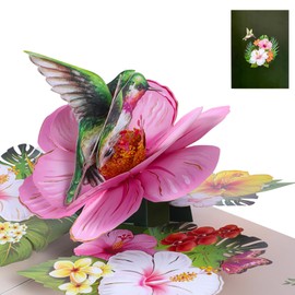 Pop Up Cards for Women, Hummingbird Flower 3D Birthday Greeting Card Mothers Day Cards Pop Up with Envelope, Birthday Cards for Women Mom Mum Wife Grandma Anniversary Thank You Get Well Greeting Card