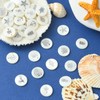 Ipotkitt 60Pcs/box Flat Round with Mixed Pattern Natural Freshwater Shell