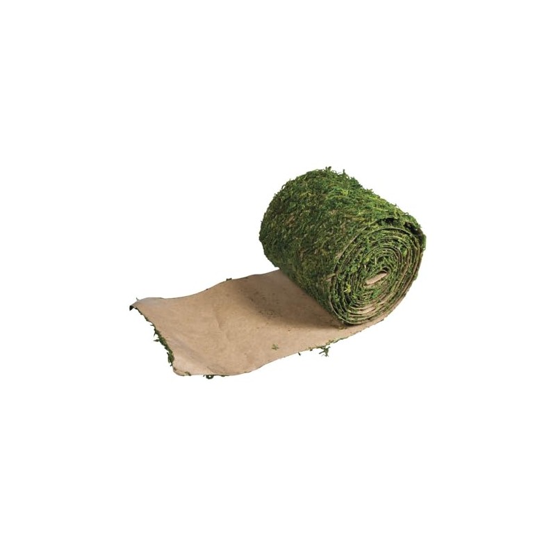 Rayher 5531800 Moss Ribbon 10 cm Wide by 200 cm