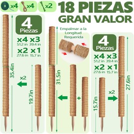 4 Pcs Tutor para Plantas,con 2 Varilla Flexible para Musgo de 80 cm y 2 Tutor para Plantas Trepadoras de 60 cm, 5 Piezas de Accesorios, Poste de Musgo para Planta Monstera