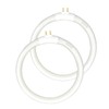 (2pack) 5.5 ’’OD,FC12/T4/ 6400K, T4 Type 12 Watts Circular Fluorescent