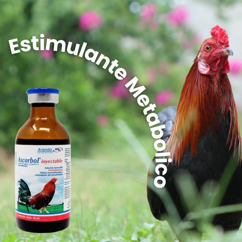 Vitaminas Para Ave Vitaminas Para Gallo