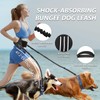 Hands Free Dog Leash for Medium Dogs - Adjustable Running