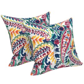 LVTXIII Outdoor Throw Pillows, Decorative Throw Pillows with Inserts, 16"x16" Square Pillows for Bed, Couch, Sofa and Patio Furniture, Set of 2, Vigour Paisley