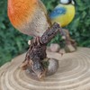Vivid Arts - British Birds Robin & Blue Tit Home