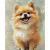 LAENAKR Paint by Number for Adults Beginner, Pomeranian Dog Paint