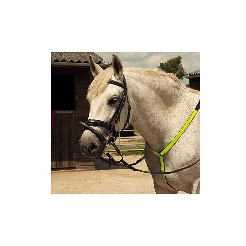 Harlequin Horse Riding Reflective Breastplate Hi-Vis Safe Adjustable Martingale