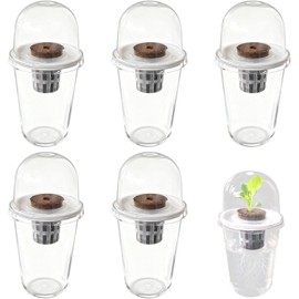 Kit de Sistema de Cultivo hidropónico, Juego 5 Vasos hidropónicos plástico Transparente, Kit germinación Plantas Antideslizante